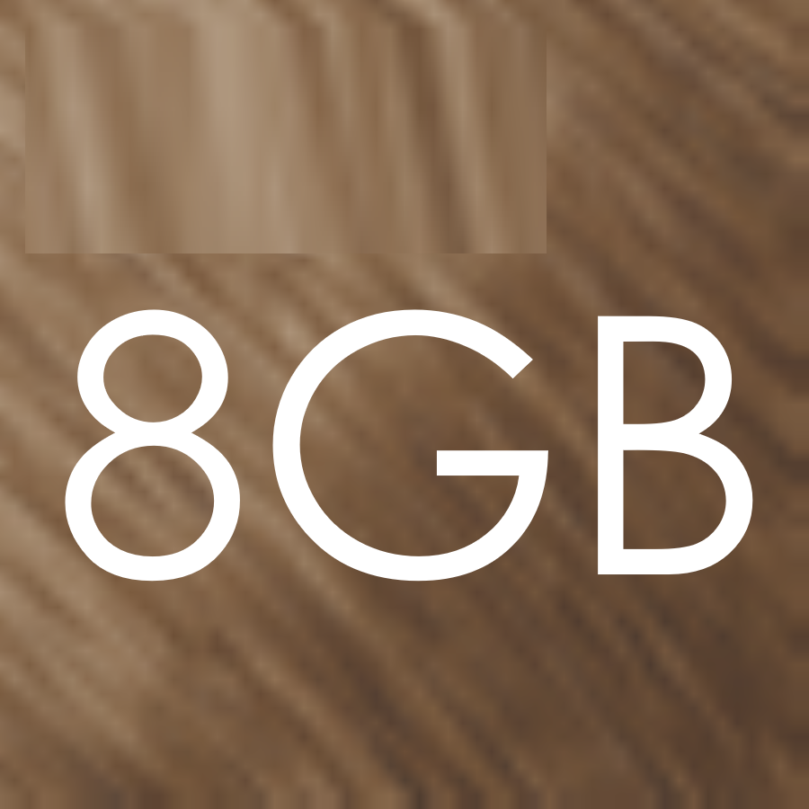 8GB saharablond hellbeige